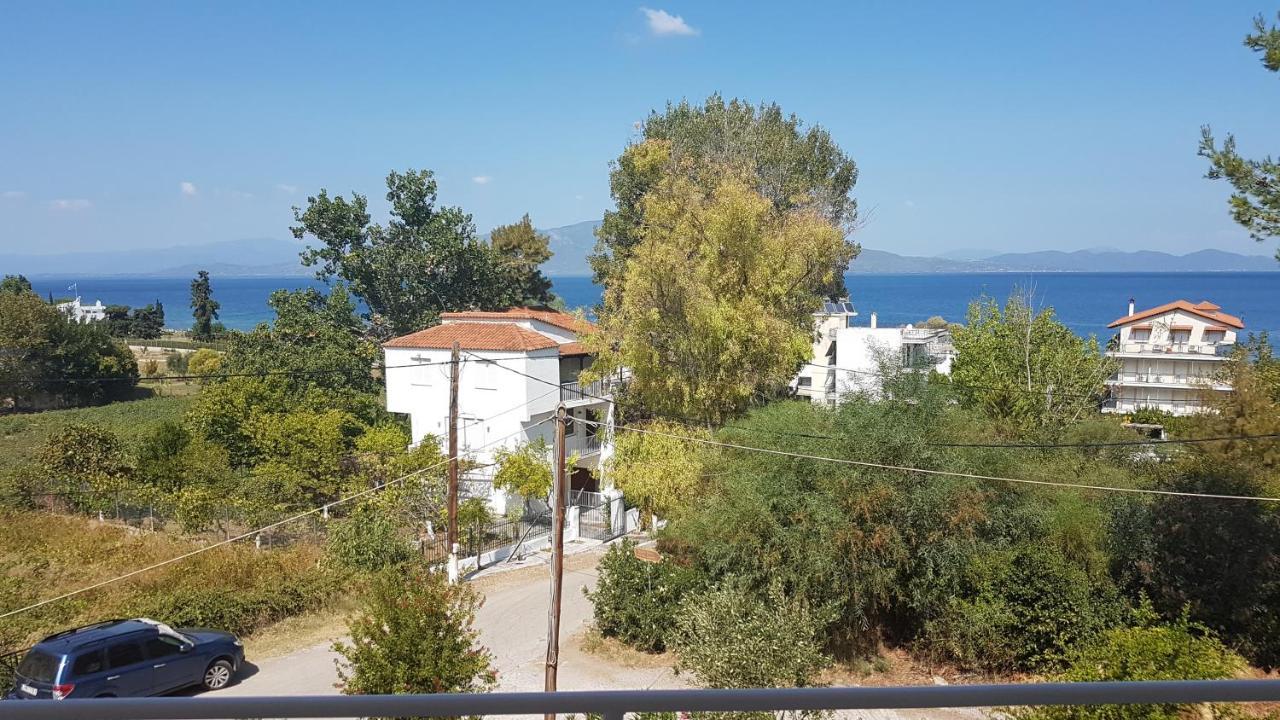 Studio Kalypso Arkitsa Luaran gambar