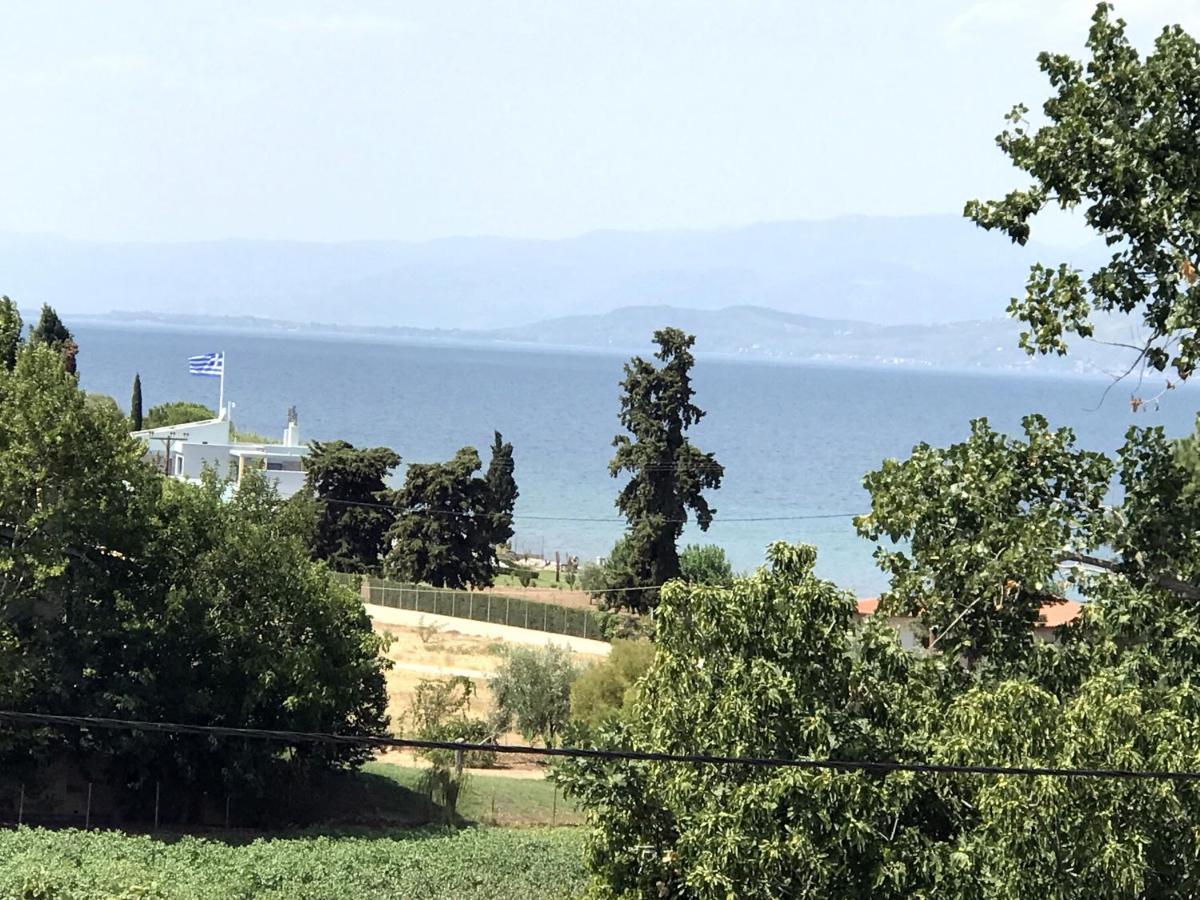 Studio Kalypso Arkitsa Luaran gambar