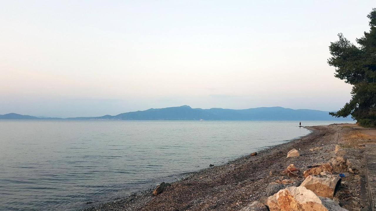 Studio Kalypso Arkitsa Luaran gambar